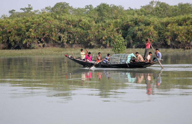 Sundarbans