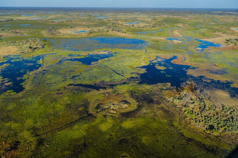 Okavango Delta