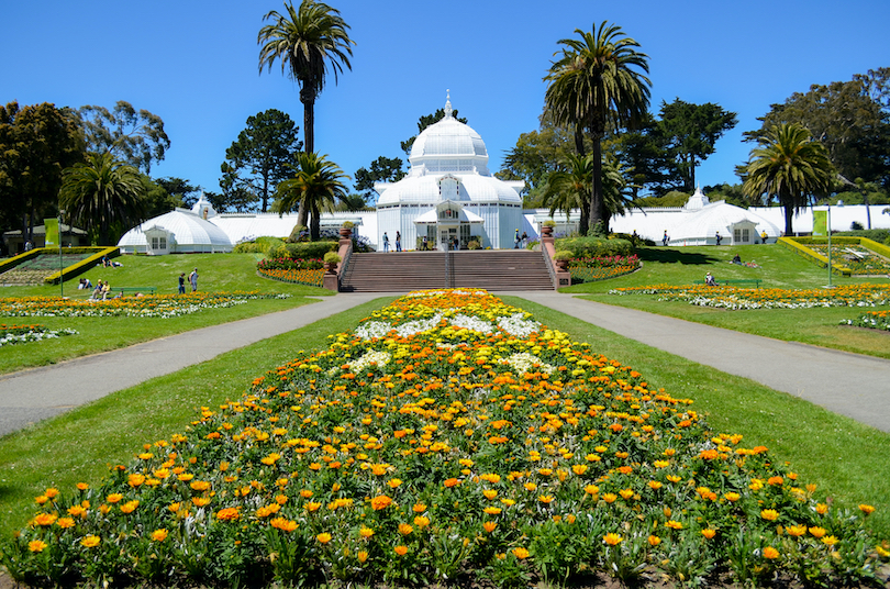 San Franciscos botaniska trädgård