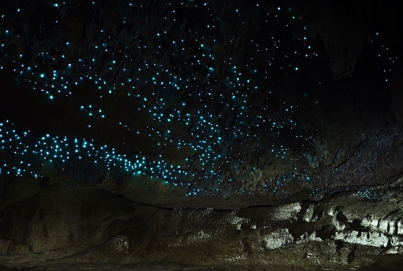 Waitomo grottor