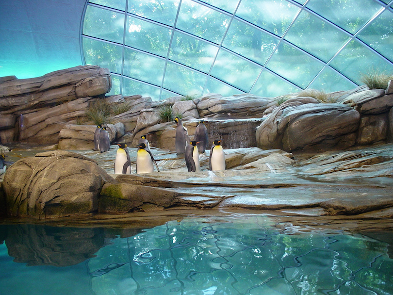 Berlins zoologiska trädgård