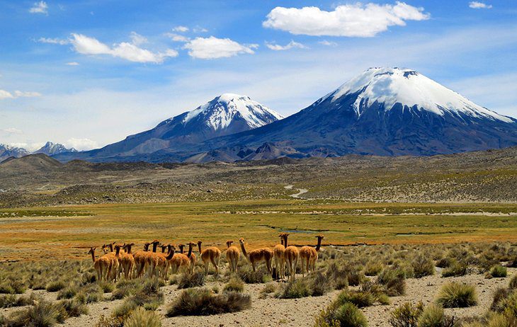 Lauca nationalpark